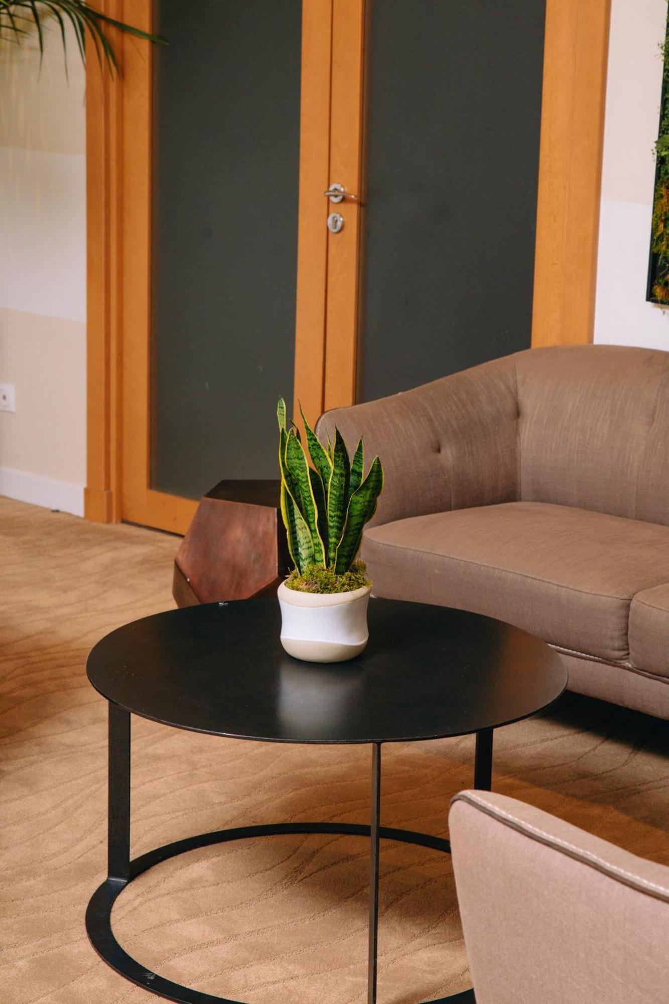 Fraser Suites Paris La Defense Courbevoie Eksteriør billede Sansevieria trifasciata